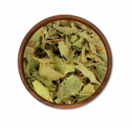 Chá de Espinheira Santa - Peso 50g