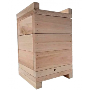 Caixa para Abelha Jataí Asf - Modelo Inpa - Eucalipto - 18x18 cm