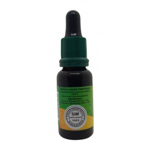 Própolis Verde - 20 ml - Frasco Vidro