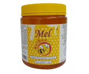 Mel Puro - Várias Floradas - Embalagem 1 Kg Pote com Tampa Lacre