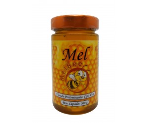 Mel Puro - Várias Floradas - Pote Vidro 500 g 